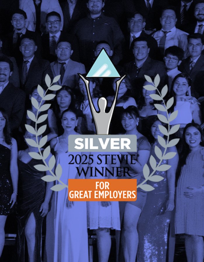 Stivies