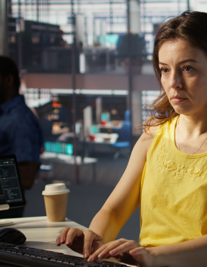 Web Development Services